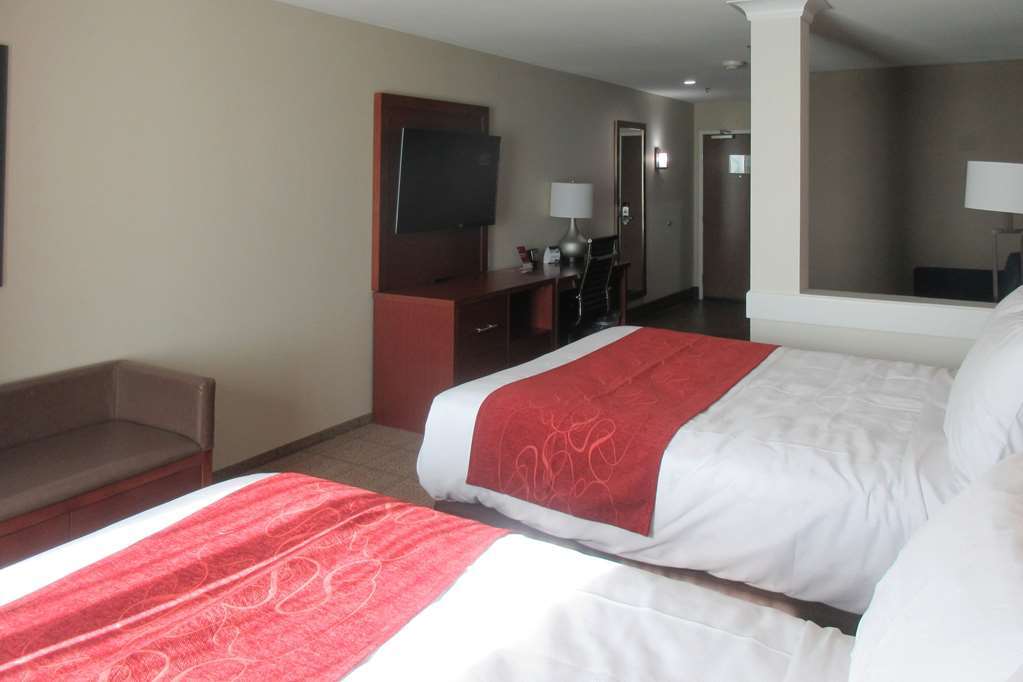 Comfort Suites Bowling Green Rom bilde